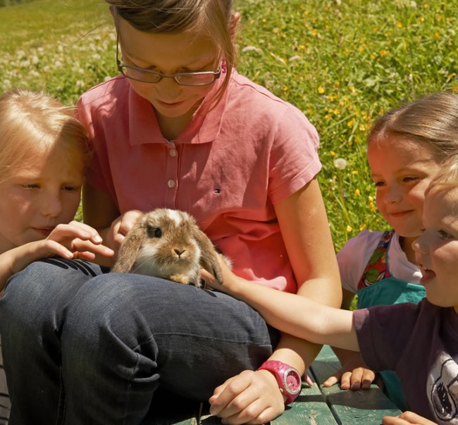 Unsere Streicheltiere freuen sich immer über Besuch